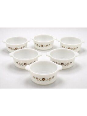 Vintage Dynaware PYR-O-REY Milk Glass White Dishes Brown Daisy Flowers 6", six